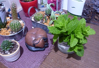 f0221360_20272511.jpg