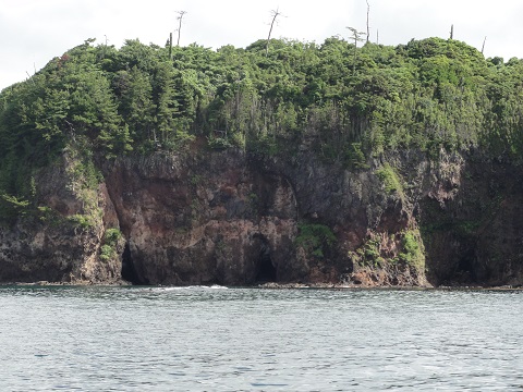 d0029363_1012357.jpg
