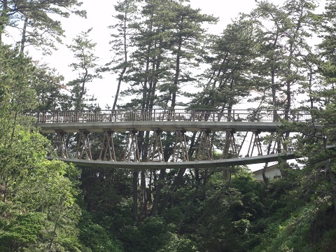 d0029363_10133937.jpg