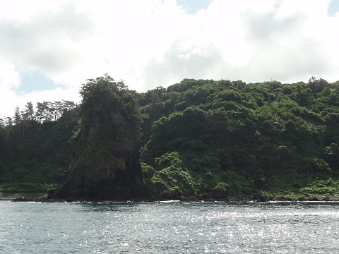 d0029363_1055175.jpg