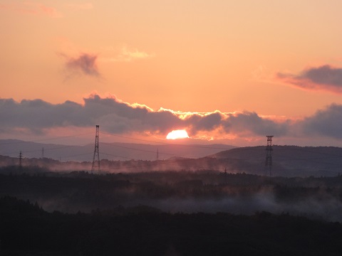 d0029363_8464446.jpg