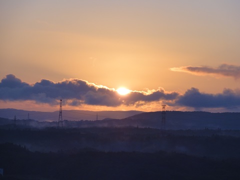 d0029363_846544.jpg