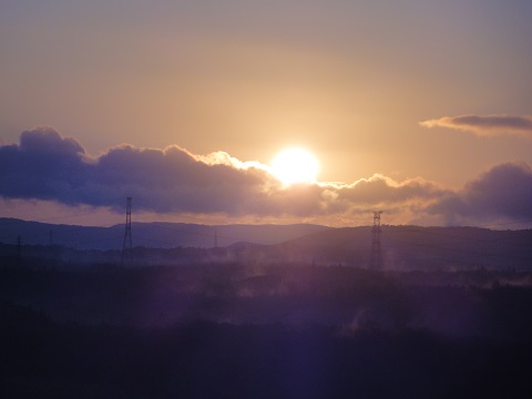 d0029363_847236.jpg