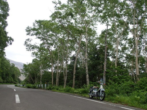 a0279883_22393161.jpg