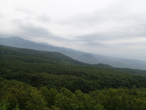 a0279883_22395825.jpg