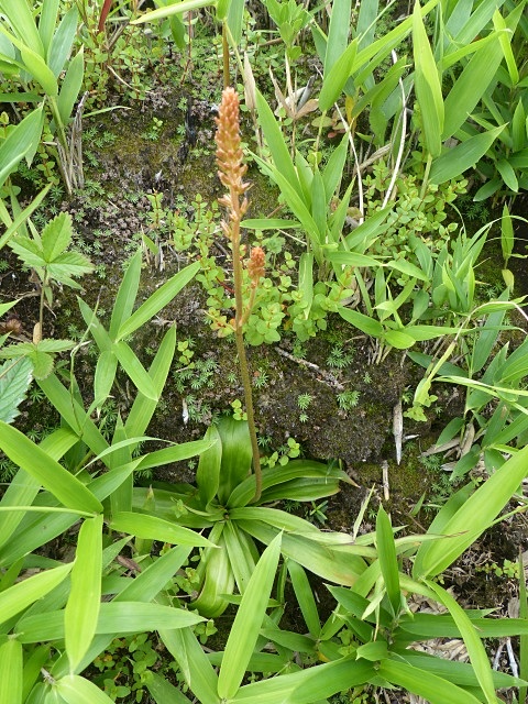 f0357487_0181681.jpg