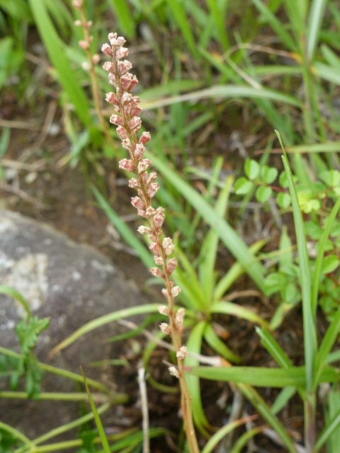 f0357487_019548.jpg