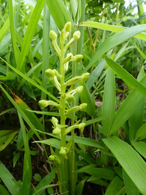 f0357487_0202546.jpg