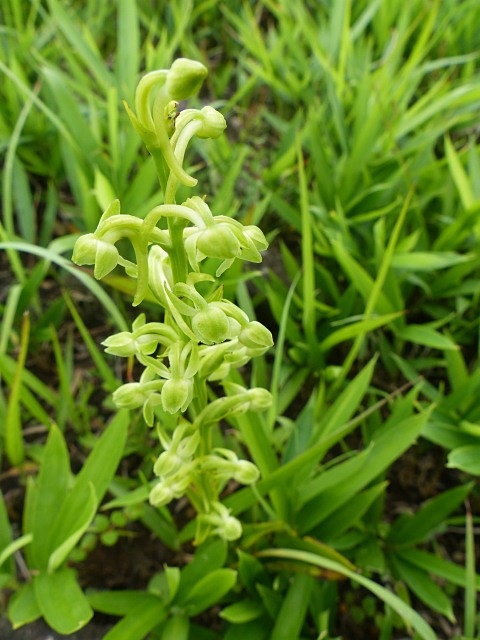 f0357487_022894.jpg
