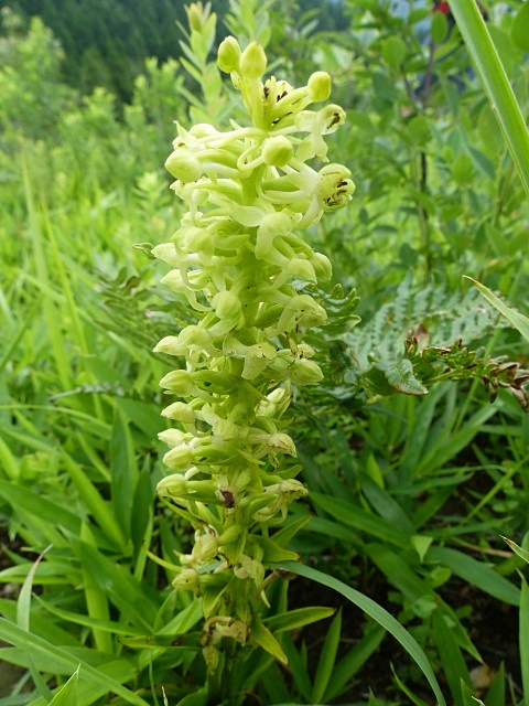 f0357487_0241545.jpg