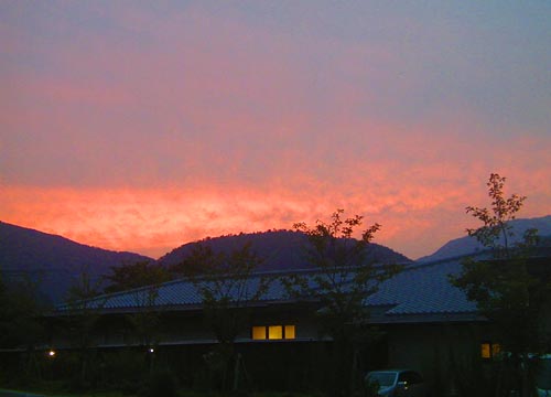 d0053294_1365648.jpg