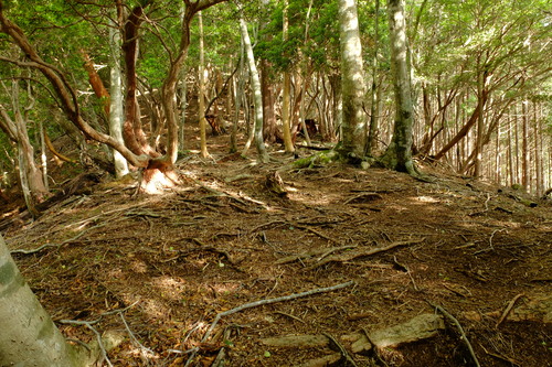 e0304001_19513100.jpg