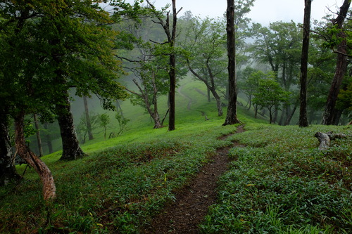 e0304001_19581698.jpg