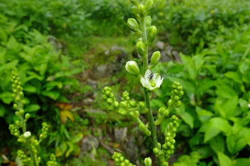 e0304001_2002253.jpg