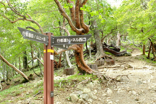 e0304001_2010235.jpg