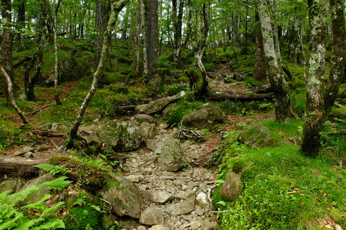 e0304001_20104355.jpg