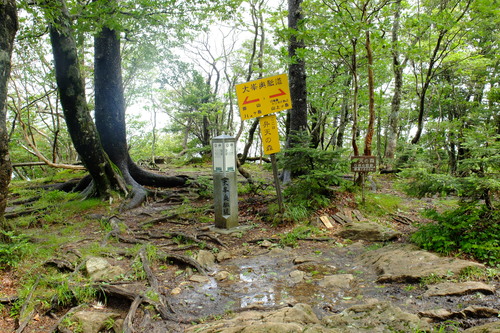 e0304001_20122158.jpg