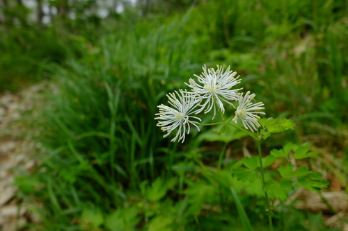 e0304001_2018957.jpg