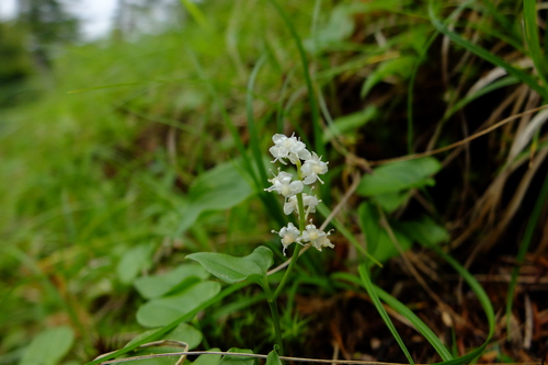 e0304001_20241250.jpg