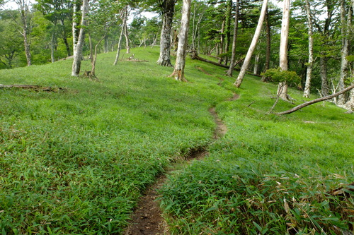 e0304001_2054856.jpg