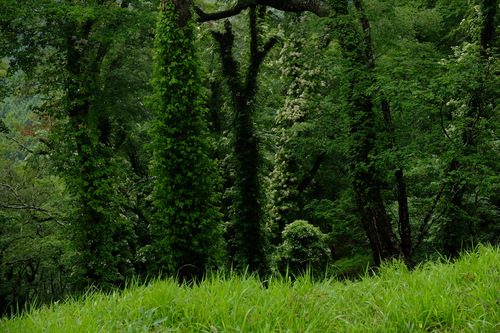 e0304001_2073055.jpg