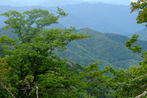 e0304001_208461.jpg