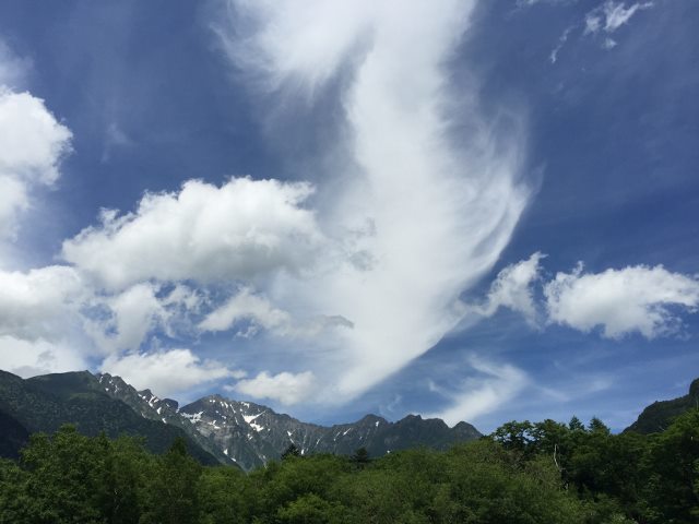 d0024504_10040123.jpg