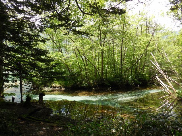 d0024504_10051680.jpg