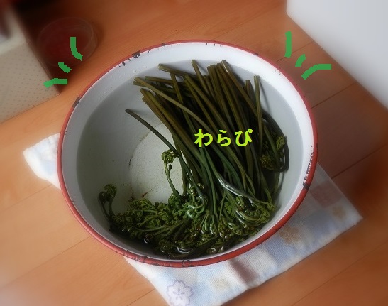 e0347508_1385331.jpg