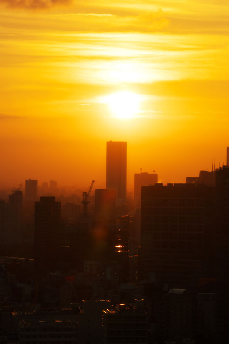 a0263109_10574843.jpg