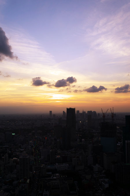 a0263109_1058289.jpg