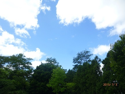 b0198109_22072001.jpg