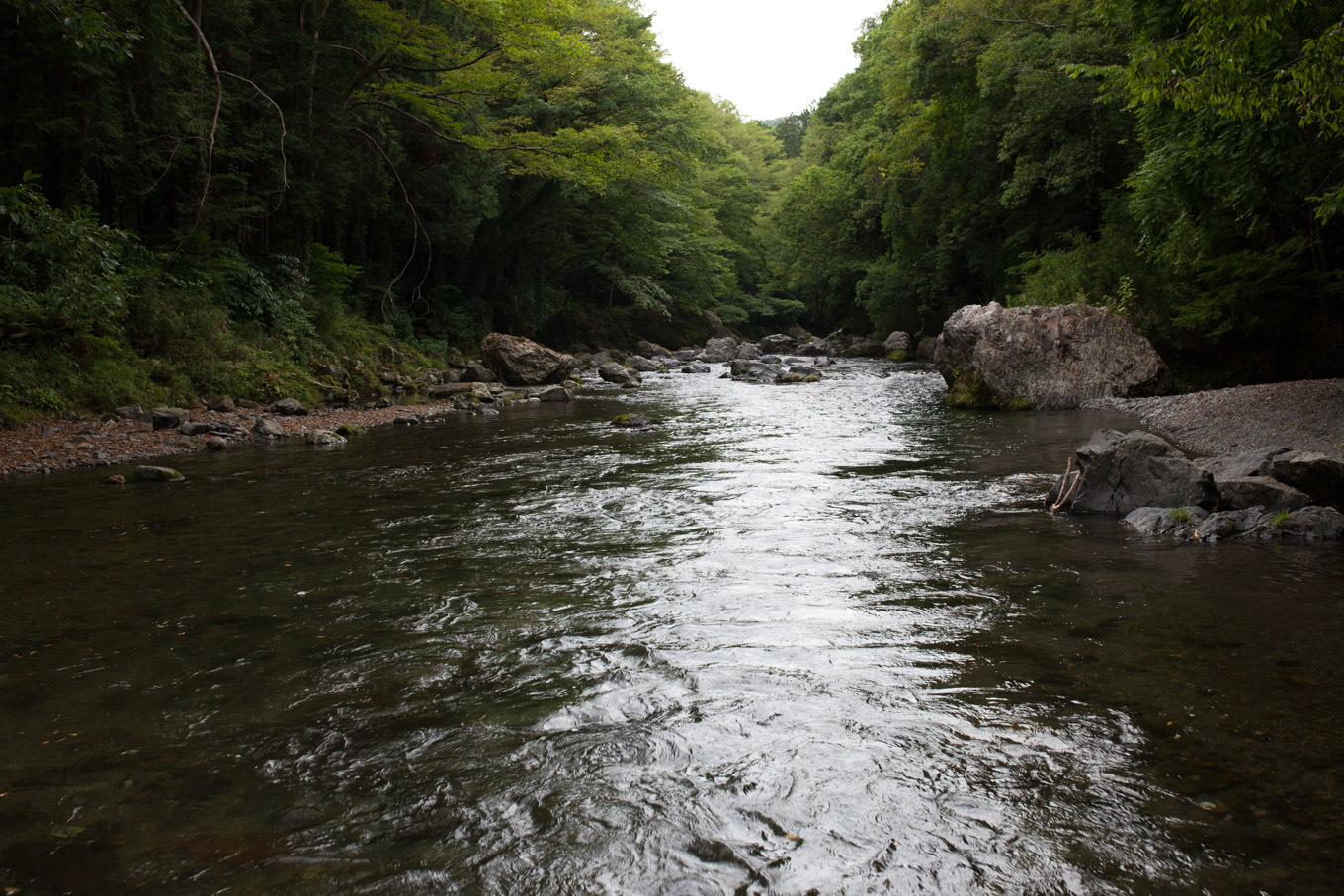 c0369219_07294989.jpg