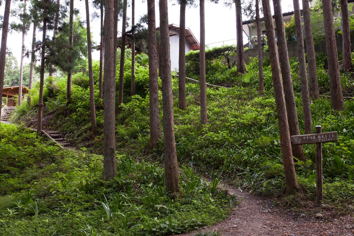 c0369219_21551790.jpg