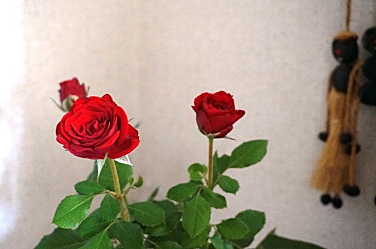 b0068423_2232384.jpg