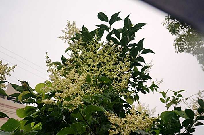 b0068423_22374836.jpg