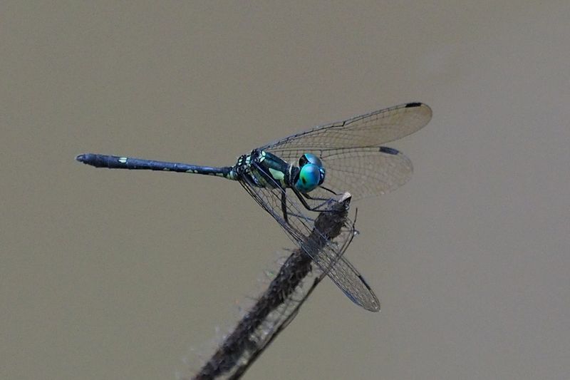 c0369423_2275475.jpg