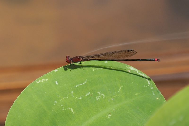 c0369423_2283981.jpg