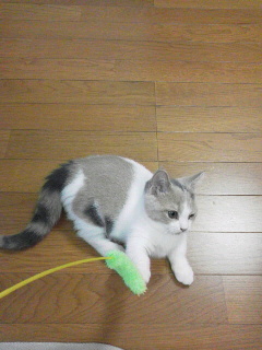 c0192027_21535654.jpg