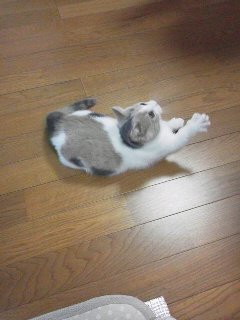 c0192027_21540620.jpg