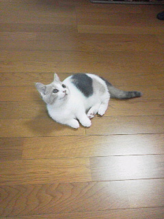 c0192027_21565834.jpg