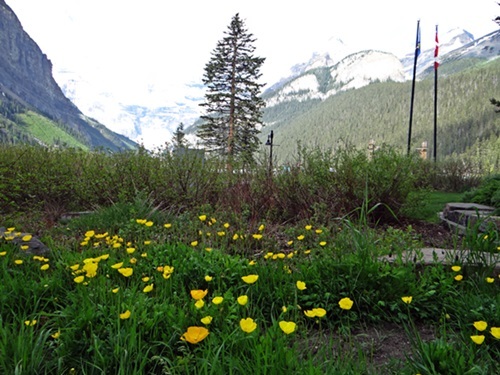 d0037233_09021983.jpg