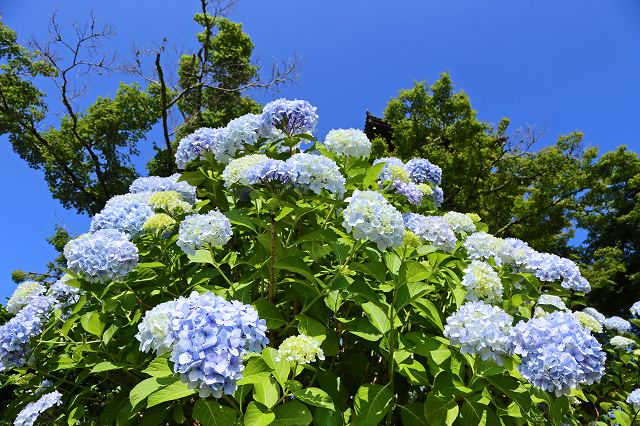 a0242438_17141827.jpg