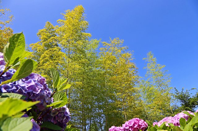 a0242438_17164944.jpg