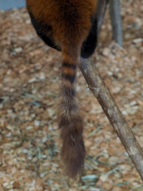 a0149740_248204.jpg