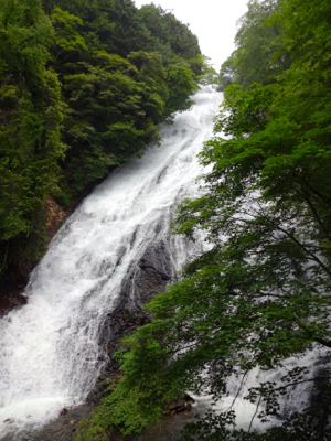 f0141840_01364346.jpg