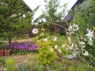 a0272241_16551419.jpg