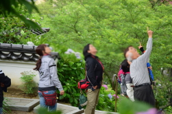 c0339546_347851.jpg
