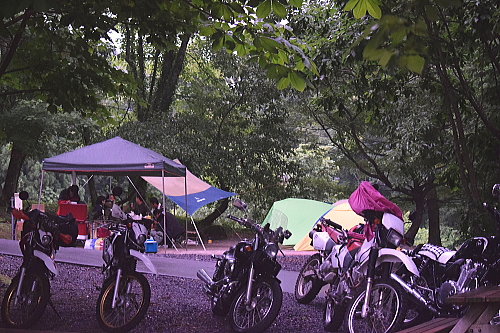 c0339546_48528.jpg