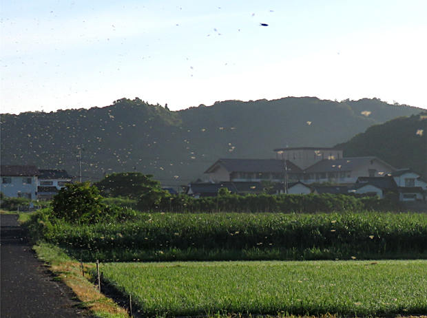 f0214649_17365100.jpg